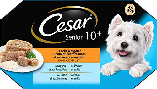 Cesar Pasto per Cani Senior – 24 vassoi (Set di 6 Confezioni 4 x 150 g) – Pasta per Cani in Gelatina – Tacchino, Manzo, Pollo, Agnello, Cibo Completo ed equilibrato con ingredienti Naturali