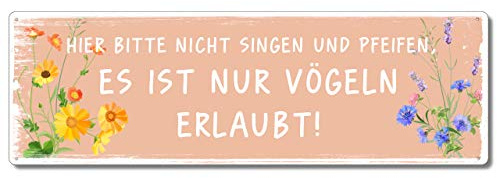 Interluxe Metallschild - Hier bitte nicht singen und pfeifen - lustige Schilder mit Sprüchen für Garten, Terrasse, Balkon oder Wohnung
