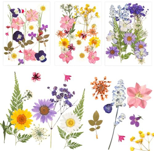 NVIYAM 66Pcs Fleurs Sechees Naturelles Vraies Fleurs Pressées Séchées Ensemble de Fleurs Séchées Pressées Naturelles Bricolage Mélange Fleurs Séchées Resine Epoxy Fleur Sechees Naturel pour Résine