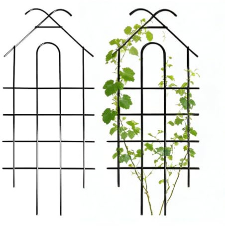 Treillis pour grimpantes – 2 pièces de Support de Jardin en métal, Cadre d'herbes d'intérieur et d'extérieur pour Vigne, Fleurs, tomates, pothos, Monstera, Rose, Raisin, Support