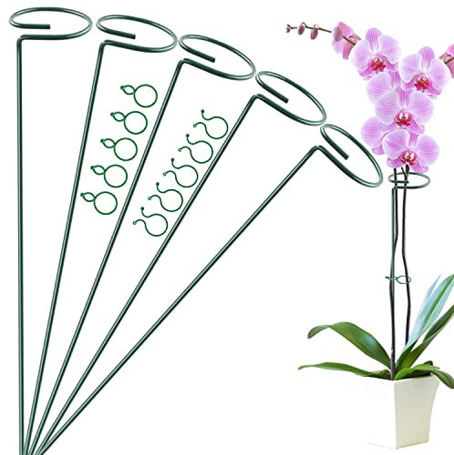 5 Pack 40 cm 16 inch Plant Support Stakes, Garden Single Stem Support Stake Amaryllis Plant Cage Support Rings with 10 pcs Plant Clips for Tomatoes Orchid Lily Peony Rose Flower Stem (40 CM)