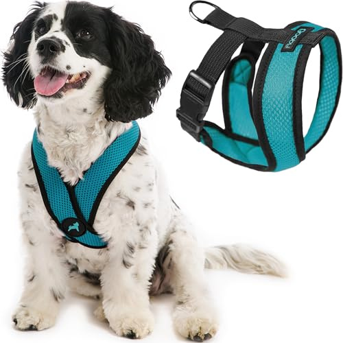 Gooby Comfort X-huvud i sele – turkos, storlek L, hundsele med patenterad kvävningsfri X-ram, perfekt hundsele på språng för medelstora hundar, inget drag för små hundar, inomhus och utomhus