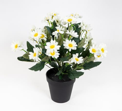 Seidenblumen Roß Margeritenbusch 32cm im Topf JA Kunstpflanzen Kunstblumen künstliche Margerite Blumen Pflanzen (Weiß)
