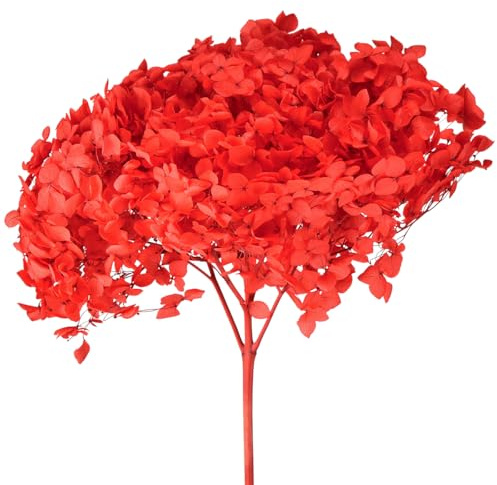 Dekorative Hortensie Konserviert Trockengesteck für Elegante Raumgestaltung
