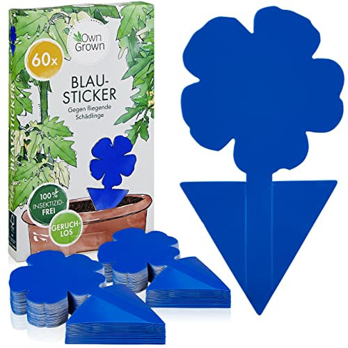 OwnGrown 60 Stück Leimfalle Blau - Insektizidfreie Mückenfalle für Zimmerpflanzen und Garten - Klebefallen gegen Thrips und Fliegende Insekten - 30 x 20 mm Papierfalle im Blumen-Design
