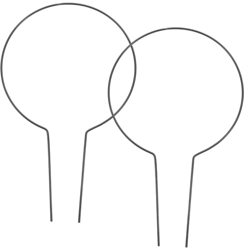 SOIMISS Soporte para Plantas Trepadoras Maceta y Enrejado De Jardín para Trepar Vides 2 Piezas Redondas Resistentes Al Viento para Jardín Exterior o Interior