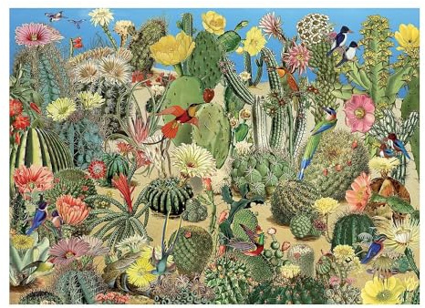 Cobble Hill / Outset Media Puzzle 1000 Pieces - Cactus Garden