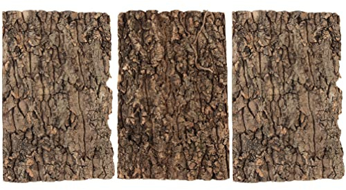 Alipis Lot De 3 Écorces d'arbre Naturelles 12X8 Pouces pour Terrarium Reptiles Lézards Araignées Hamsters Décor d'escalade Et Repos Réaliste
