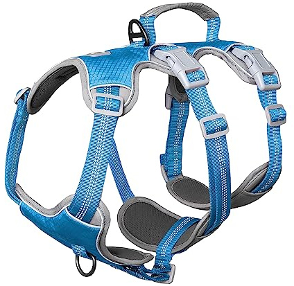 Huntboo Flyktsäker hundsele, flyktande konstnärssel, reflekterande sele med vadderat handtag, andningsbar, hållbar, justerbar väst för medelstora hundar promenader, träning och löputrustning (blå, XL)