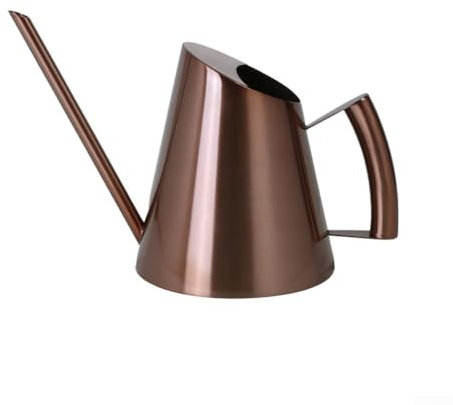 Arrosoir à long bec en acier inoxydable, arrosoir d'intérieur moderne décoratif avec long bec pour plantes d'intérieur (400 ml, cuivre)