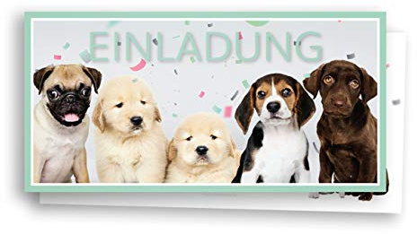 Friendly Fox 12 Einladung Hunde, Welpen Einladungskarten zum Kinder-Geburtstag Junge Mädchen, Geburtstagseinladung mit Briefumschlag, DIN lang