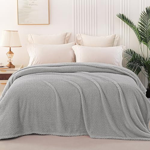 Whale Flotilla Plaid Couverture Polaire 220x240cm, Plaid Jeté de Canapé, Couverture Canape Lit Microfibre Confortable Chaud et Doux, Gris Clair