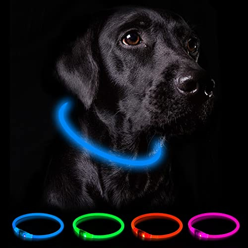 Nepfaivy Leuchthalsband Hund USB Aufladbar - Wasserdichtes Hundehalsband Leuchtend mit 3 Beleuchtungsmodi, Längenverstellbareres LED Halsband für Kleine, Mittlere und Große Hunde (Blau)