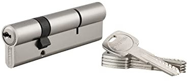 THIRARD - Cylindre de Serrure Double Entrée - Trafic 6 - Laiton - Haute Sécurité - Cylindre Européen - Anti-Arrachement, Anti-Perçage, Anti-Crochetage - 30 x 70 mm - Gris - 5 Clés Réversibles