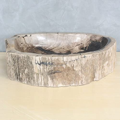 Oriental Galerie Fossil Waschbecken aus versteinertem Holz Steinwaschbecken Fossilbecken Marmorierung Unikat 61 x 55 cm F32