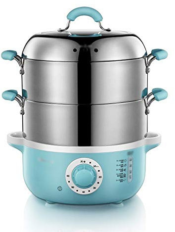 OQHAIR Cuiseur Vapeur électrique Domestique Multifonctionnel Mise Hors Tension Automatique cuiseur Vapeur électrique épaissi en Acier Inoxydable