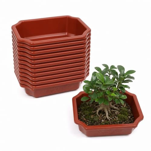 Milisten 10 Pcs Macetas Rectangulares para Bonsái 16,5cm - Maceteros de Plástico Marrón con Drenaje para Plantas Suculentas Cactus y Flores - Bandejas de Entrenamiento para Jardín Balcón y Vivero