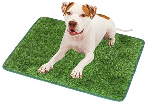 Hundetoilette, Wiederverwendbar Training Pee Pads, Waschbar Hunde Training Rasenmatte, für Kleine Grosser ältere Hunde (46 * 58 cm)