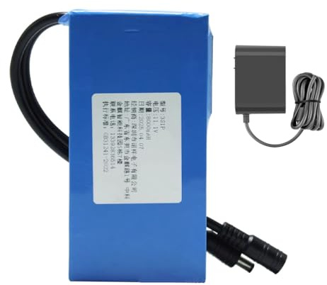JHKJ Batteria Portatile agli ioni di Litio ai polimeri di Litio Ricaricabile DC da 12 V, 2500 mAh, 4000 mAh, 6000 mAh, 8000 mAh, 15000 mAh, 20000 mAh. Power Bank.,12v,6000mAh