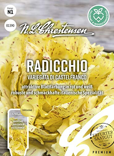 Radicchio Variegata di Castelfranco Samen, Saatgut