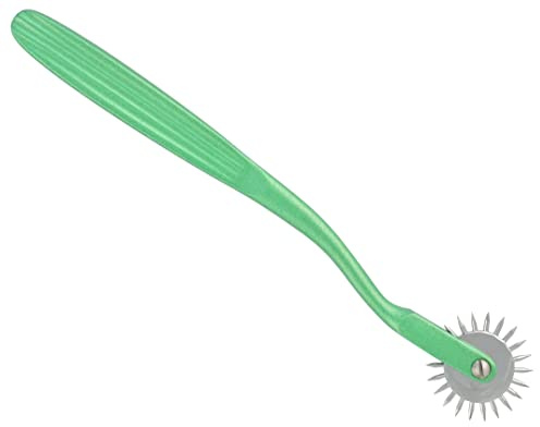 Wartenberg Roue à aiguilles en acier inoxydable (1 roue, vert)