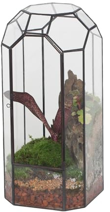 NCYP Geometrisches Pflanzen-Terrarium aus Glas mit Tür für Sukkulenten, Kakteen – 14 x 14 x 32,5 cm – Vintage-Pflanzgefäß, hoher, achteckiger Übertopf, Zuhause, Garten, Büro, Tischdekoration (nur