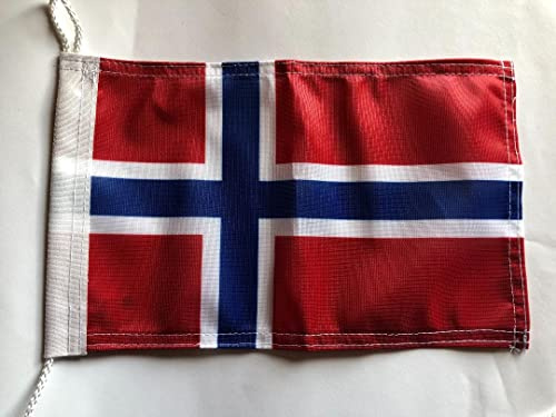 Bandera de Noruega, 40 x 60 cm, calidad profesional