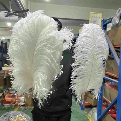 Pluma de avestruz blanca natural esponjosa de 15 cm a 75 cm, pluma de avestruz grande para decoración de bodas, fiestas, restaurantes, lámparas para el hogar, 45-50 cm, poste pequeño, 50 piezas