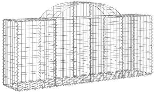 vidaXL Paniers à gabions arqués 40 pcs 200x50x80/100 cm Fer galvanisé, gabion, cage de gabion, panier de mur de gabion, mur de gabion