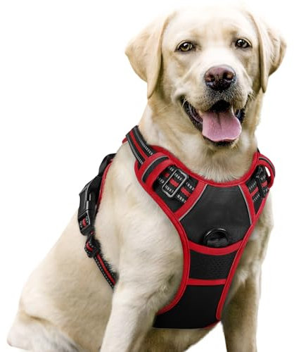 rabbitgoo Dog Harness Large Dog No Pull Pet Harness with 2 Leash Clips, Adjustable Soft Padded Pet Vest, Reflective No-Choke with Easy Control Handle for Training or Walking, Black Red L