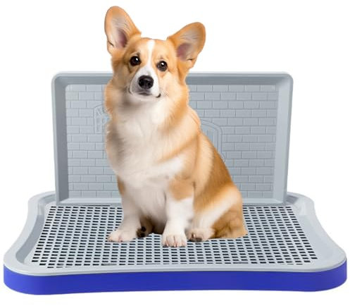 Pasdrucn Hundetoilette Wohnung Mit Schaufel, Welpentoilette Für Kleine Hunde, Balkon Indoor Hundetoilette Mit Tablett,Schnelle Drainage, Hundekotsammler Mit Urin Trennwand (blau-violett)