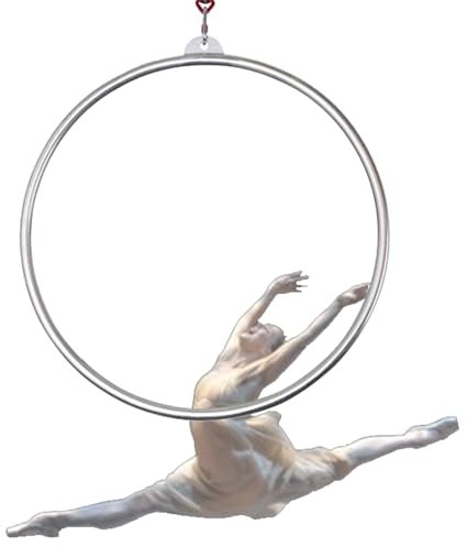 WJFTODAY Aerial Hoop 85 cm/90 cm Aerial Ring Set - Rohrdurchmesser 3,2 cm, Edelstahl Hoop Set - Rohrdurchmesser 3,2 cm, Edelstahl Hoop Zirkus Aerial Equipment mit Zubehör für Yoga Akrobatik Gymnastik