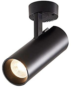 Faretto da soffitto Moderno Regolabile, faretti Aent da 20 W a LED montati in Superficie, alloggiamento in Alluminio, apparecchi di Illuminazione da soffitto per Interni per Soggiorno, Cucina/NER