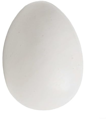 12 uova di piccione simulate in plastica per cova, aiutano con l'allenamento e incoraggiano il comportamento naturale nei piccioni