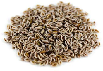 Flohsamen indisch gelb ganz BIO, 1kg von Dragonspice Naturwaren, 1kg