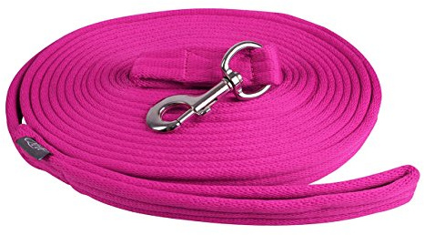 QHP Longierleine Longe – Extra weicher Komfort – 8 m mit praktischer Tasche und großer Schlaufe