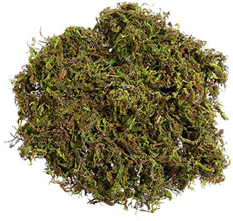 Winomo Künstliche Moos, grüne Flechtenpflanzen für Haus, Garten, Terrasse, Dekoration, 60 g pro Packung, 3 Packungen