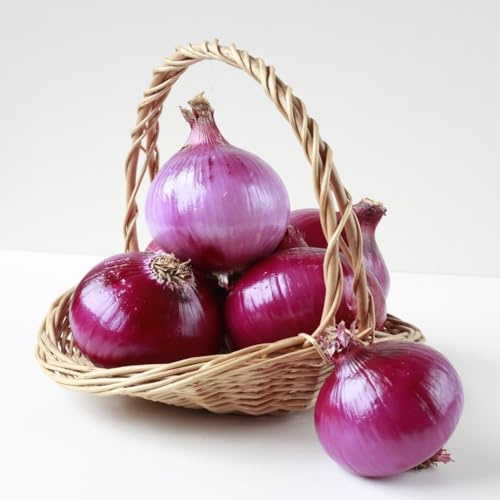 150samen steckzwiebeln bio zimmerpflanze gartenkräuter zwiebelsamen kräuterpflanzen gemüsepflanzen kräutersamen balkon gemüsesamen exotische