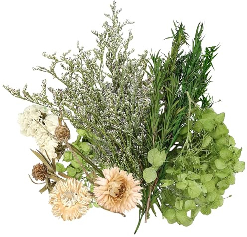 Simsky Natürliche Getrocknete Blumen zum Basteln – Trockenblumen Klein für DIY Epoxidharz, Scrapbooking, Karten, Schmuck, Kerzen & Deko (Grün)