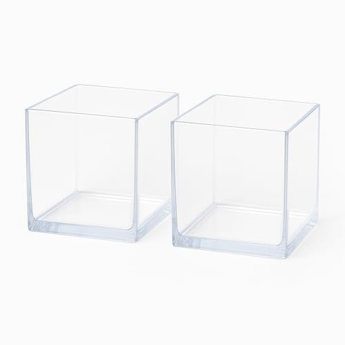 Floralcraft® Clear Acrylic Cube Vase - 12.5cm Mini Square Vase for Home, Office, Table, Flowers Decoration, Party, Wedding (Pack of 2)