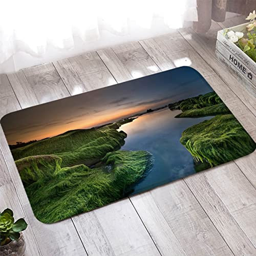 Bunter Teppich, Türmatte Innen 60X180cm Grün Blau Bergsee Naturkulisse für Stark Frequentierte Bereiche Außerhalb des Hauses