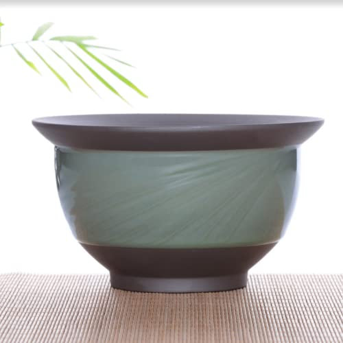 XIALON Pot de fleurs simple en céramique de 9,5 cm pour vasque de table Chlorophytum Comosum