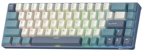 RK ROYAL KLUDGE RK68 65 % RGB trådlös mekaniktangentbord för spel, QWERTY | 68 tangenter kompakta TKL Tri-Mode BT/2,4 G/USB-C speltangentbord för Mac/Win, Hot Swap, Custom Switch, programvarusupport
