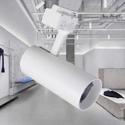 Partenopea FARETTO PROIETTORE LED FARO SPOT ORIENTABILE PER BINARIO MONOFASE IN ALLUMINIO 30W - TRIPLA TEMPERATURA DI COLORE 3000K-4000K-65000K ILLUMINAZIONE CASA NEGOZIO (Bianco)