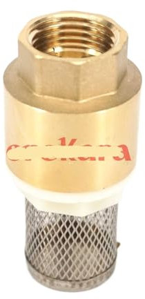 1/2 Zoll, 3/4 Zoll, 1 Zoll, 1-1/4 Zoll, 1-1/2 Zoll, 2 Zoll BSP-Innengewinde, Messing-Rückschlagventil, Rückschlagventil mit 40 Mesh-Filter, Filterfußventil (Size : 2)