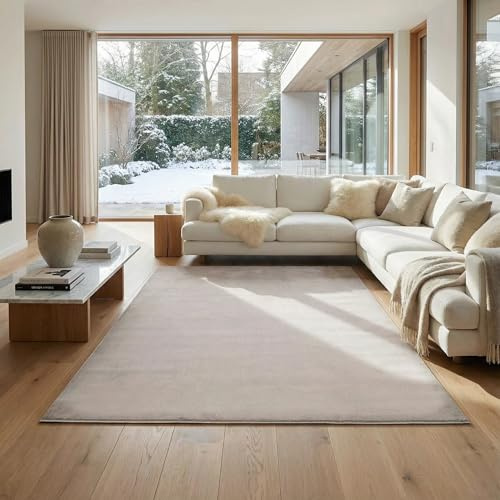 Jimri Alfombra mullida de Pelo Corto de para el hogar, Oficina, Cocina, Entrada, Pasillo, Sala de Estar, Lavable a máquina, Antideslizante, Lavable - Beige, 120 x 160 cm