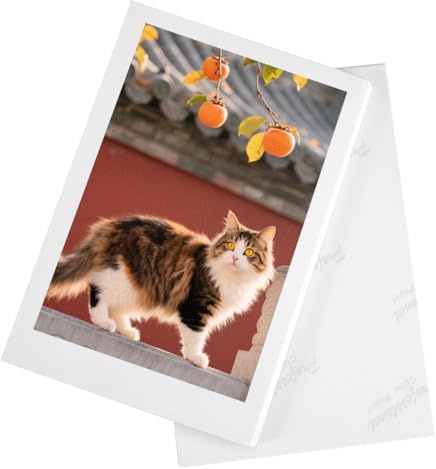 100 Hojas Papel Fotográfico 10x15, Papel Fotográfico Brillante A6, 180 g/m², Colores Vibrantes Y Alto Contraste, Para Todas Las Impresoras De Inyección De Tinta