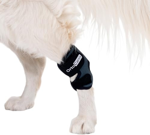 Ortocanis - Sprunggelenkbandage für Hunde - Unterstützung des Tarsus bei Arthrose, Bänderverletzungen und Sehnenentzündungen - Aus ARD-Neopren - Größe: XL 17,5-19 cm - 15.5-16.5 cm