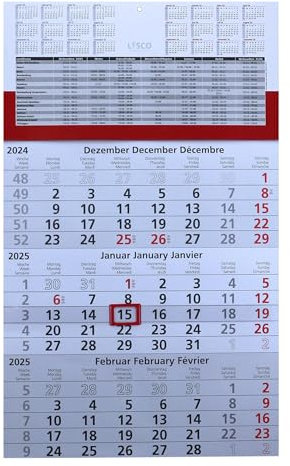 Gefaltet 3 Monats Wandkalender 2025 mit Datumschieber in Rot, inkl. Ferienübersichten und Jahresüberblick, Dreimonatskalender werbefrei, 3 Monatskalender
