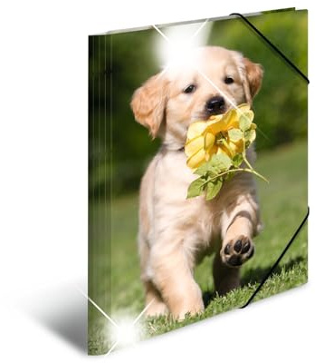 HERMA Sammelmappe A3 Hunde, Kinder Eckspanner-Mappe aus Kunststoff mit Tier Motiv, Hochglanz-Optik, Gummizug, Innenklappen und Innendruck für Jungen und Mädchen